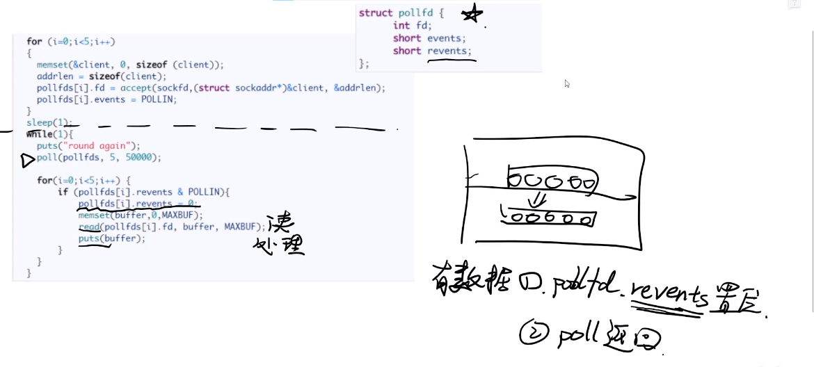 poll /images/net/poll.png